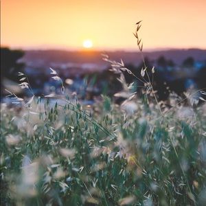 Meet your Posher, Armita